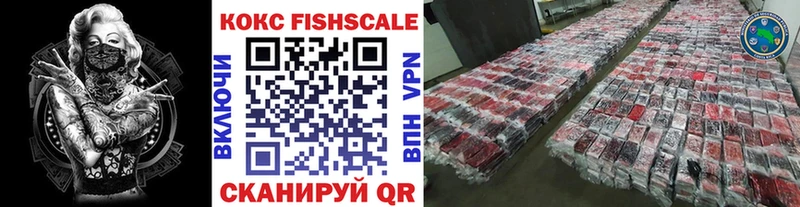 Купить закладки  Усть-Илимск  COCAIN Эквадор 