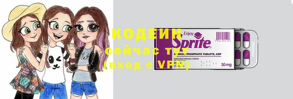 прущий лед Дмитриев