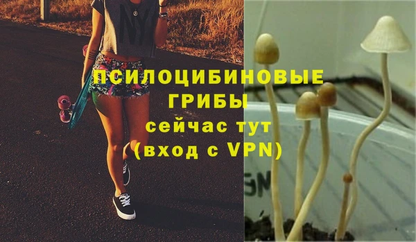 спиды Дмитров