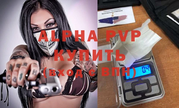 прущий лед Дмитриев